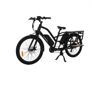 Electric Bicycles Adult Two-Wheeled Electric Vehicles 12.8ah LG Battery 750W Motor Hot Selling Sport Bike