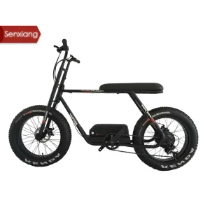 Electric Bicycles Fat Tire for Men Fat Tire Bicycle 20inch Fat Tire 350W 500W 1000W 36V 48V