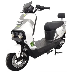 Electric Bike 1000W 72V 20Ah for Adult 2 Wheels Moto Battery Ebike Electrica Motorcycle