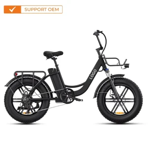 Electric Bike 20 Inch Fat Tire 48V Lithium Battery 250W Motor Shimano 7 Gears City Road Electric Bicycle for Adults OEM ODM