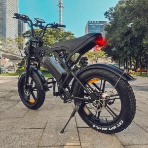 Electric Bike 250W Ebike Fat Tire E-bike 250W Electric Bicycle USA EU Adult Hybrid Fatbike 25km/h 48V
