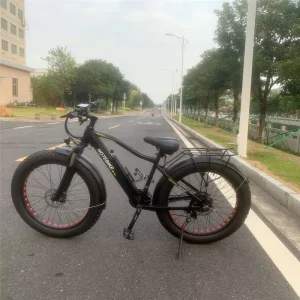 Electric Bike 36V Lithium Battery Brushless Motor Aluminum Alloy Frame Waterproof Cargo Bike 21 Speed Rear Hub Motor Adult