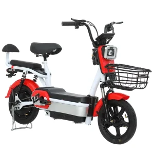 Electric Bike 48V Electric Bikes for Adults