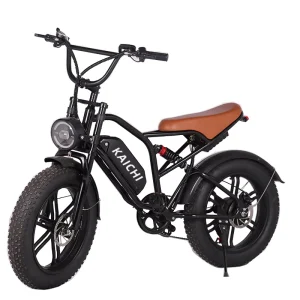 Electric Bike Adult Off Road Electric Bike Fat Tire 2 Wheels Electric Mountain Bike Best Selling Electric Bicycle