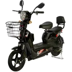 Electric Bike Bicycle