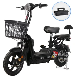 Electric Bike Double Wheels Cargo City Bicycle Long Range Motorcycle 2 Seat Bicicleta Electrica Ebike