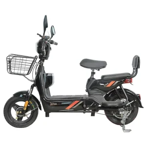 Electric Bike Ebike E-bicycle E-bike Electrique Electrical Bicycles Battery Ebike