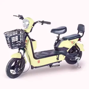 Electric Bike Electric Bicycle 350W Delivery Electric Scooter