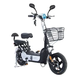 Electric Bike Electric Bicycle Ebike Electric Cycle