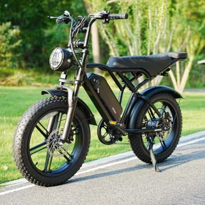 Electric Bike Fast Charging Rear Hub Motor Disc Brake Ebike Electric City Bicycle