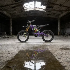 Electric Bike Off Road Bikes Surround Light Bee X Price High Quality Surron Electric Bike