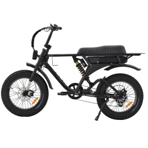 Electric Bike Suspension 20″ Electric Bicycle Mountain Fat Tire 48V 1000W Snow Electric Bicycle