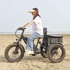 Electric Bike Three Wheel Cargo Etrike 48V 17AH Battery Rear Hub Motor Aluminum Alloy Frame 21 Speed Adults