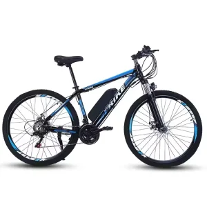 Electric Bike with Brushless Rear Hub Motor Disc Brake and Lithium Battery