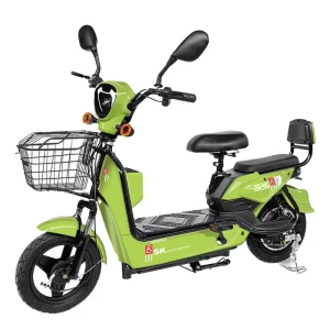 Electric Bike with Fast Charging Motor Bike Electric Bicycle on Sale Electric Bicycles Manufacturer