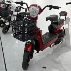Electric Bike with Fast Charging Motor Bike Electric Bicycle on Sale Jinying Electric Bicycles Manufacturer’s