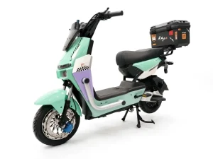 Electric Bike with Fast Charging Motor Bike Electric Bicycle on Sale Manufacturer’s