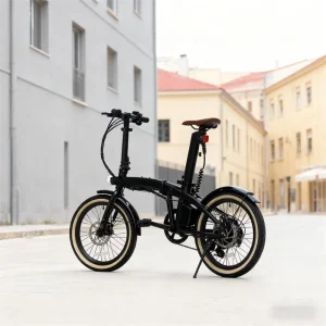 Electric Bikes 250W 36V 20inch Aluminum Alloy Rear Hub Motor Foldable with 7 Speed Gears and Quick Release Mechanism