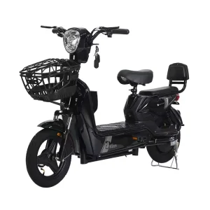 Electric Bikes