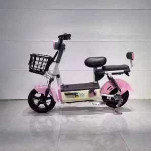 Electric Bikes Ebike Bicycles Other Electric Bike Adult Electric City Bike