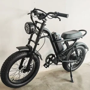 Electric Bikes with Rear Hub Motor 750W Adult Dual Disc Brake 1000W