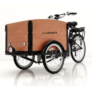 Electric Cargo Bicycle with 250W Bike Used for Family 3 Wheel Bike