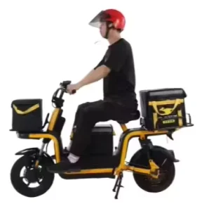 Electric Cargo Bike 1000W Brushless Motor Takeaway Long Range 3 Speed Pedal Assist E Bike