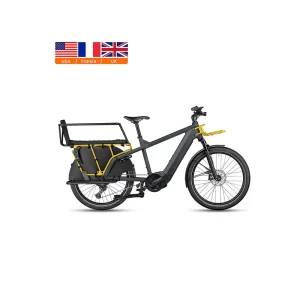 Electric Cargo Bike 24 Inch 250W Motor Two Wheel Cargo Bicycle for Cargo Bikes