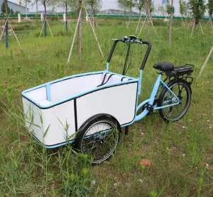 Electric Cargo Bike 3 Wheel Manufacturer