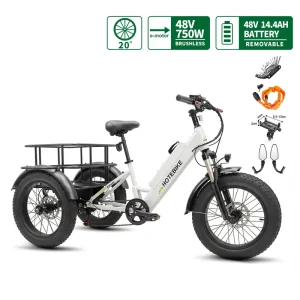 Electric Cargo Bike 750W 48V Long Range Ebike for Adults Kids Family Use