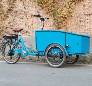 Electric Cargo Bike Adult Cargo Bicycle with Front Cabin Box