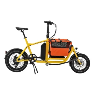 Electric Cargo Bike Central Motor Brushless 36V15Ah Battery 180kg Load Capacity Family Friendly 2 Wheel