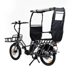 Electric Cargo Bike Electric Bike Best Design for Family with Baby Seats Ebike