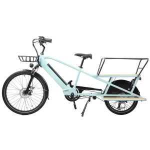 Electric Cargo Bike Family Custom 20ihch 48V 500W 2 Wheel Ebike Fat Tire Bafang Motor Electric Cargo Bike
