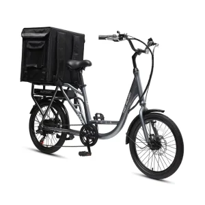 Electric Cargo Bike Fast Delivery Bike Goods Bike for Delivery Business 20 Inch
