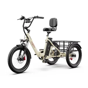 Electric Cargo Bike Gps Anti-theft Reversing Electric Bike Delivery Three-wheeled Electric Bicycle Bici Ebike
