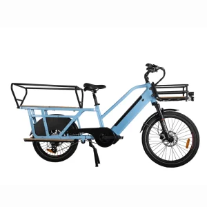 Electric Cargo Bike for Children with Rear Hub Motor Disc Brake Long Tail Design Lithium Battery Fat Tires