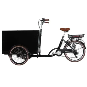 Electric Cargo Bike for Delivery 3 Wheel Cargo Bike Electric Assist Delivery Bike