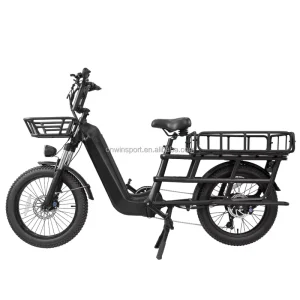 Electric Cargo Bike with 20*3.0 Inch Aluminum Frame 48v 500w Electric City Bike Disc Brake System Lithium Battery Motor