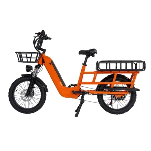 Electric Cargo Bike with 20*3.0 Inch Aluminum Frame 48v 500w Electric City Bike Disc Brake System Lithium Battery Motor
