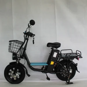 Electric Cargo Bike with Fat Tires 60V Lithium Battery 10-30Ah 150kg Load Capacity Fast Food Delivery E Bike