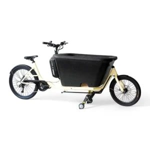 Electric Cargo Bike with Storage and Seats 2 Wheel Delivery Ebike for Kids Pets