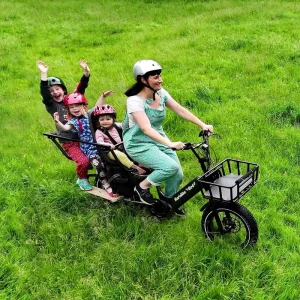 Electric Cargo Bike with Two Wheels for Family Use