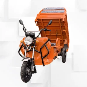 Electric Cargo Tricycle for Adult 3 Wheel Cargo Scooter