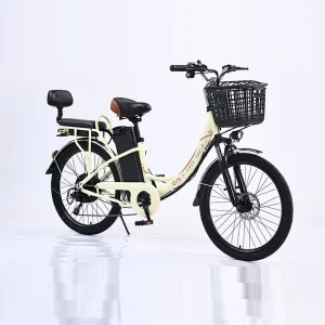 Electric City Bicycle 48V Woman’s 350W Electric Bike Hybrid Dirt Bike Ladies High Carbon Steel Off Road Ebike
