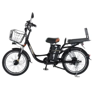 Electric City Bicycle Adult Electric Bike Motorcycle 48V 350W E-bike Rechargeable Electric Bicycle