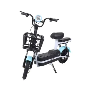 Electric City Bicycle Factory Manufacture Various E Bikes Electric Bicycle Electric Scooter Factory Electric Motorcycle