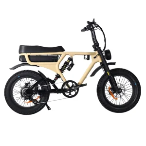 Electric City Bike 1000W Lithium Battery 20-Inch Alloy Frame Brushless Accelerator Disc Brake System 20-Inch Tire 48V Voltage