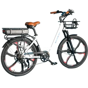 Electric City Bike