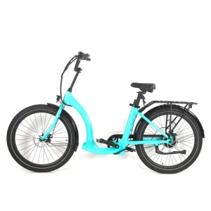 Electric City Bike 350W 48V Brushless Lithium Battery Aluminium Alloy Frame Disc Adult Delivery Use Electric Cargo Bike